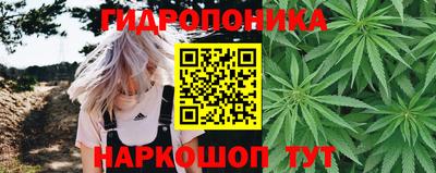 крисы Ливны