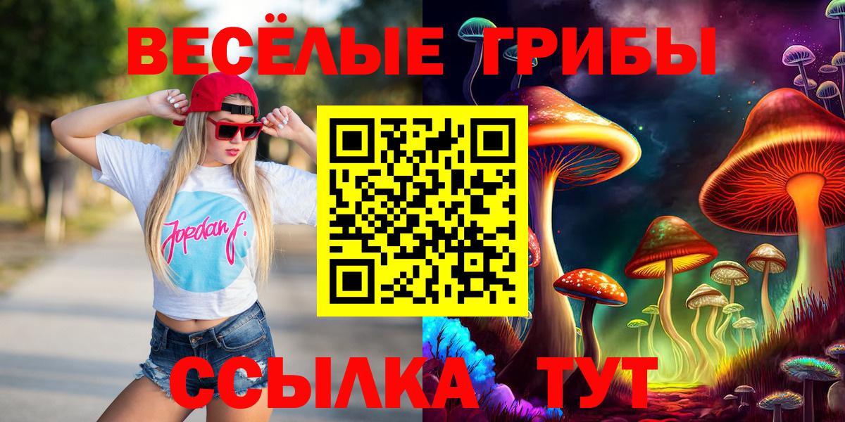 Ипатово  Псилоцибиновые грибы Cubensis  продажа наркотиков  Вход с VPN 