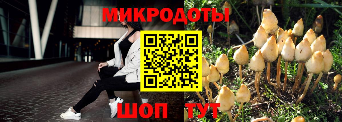 Галлюциногенные грибы GOLDEN TEACHER Ипатово